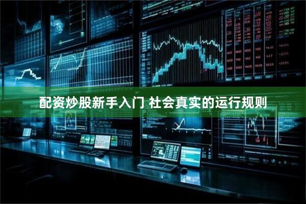 配资炒股新手入门 社会真实的运行规则