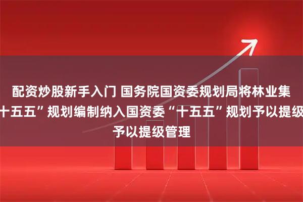 配资炒股新手入门 国务院国资委规划局将林业集团“十五五”规划编制纳入国资委“十五五”规划予以提级管理