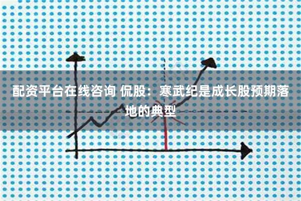 配资平台在线咨询 侃股：寒武纪是成长股预期落地的典型